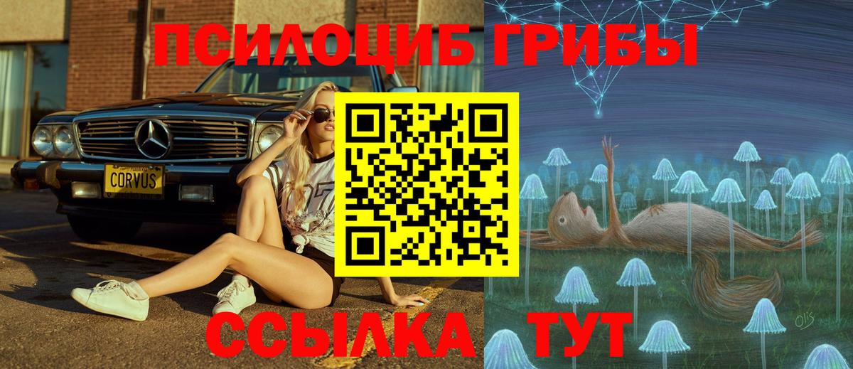 Псилоцибиновые грибы мицелий Когалым